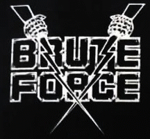 logo Brute Force (USA-1)